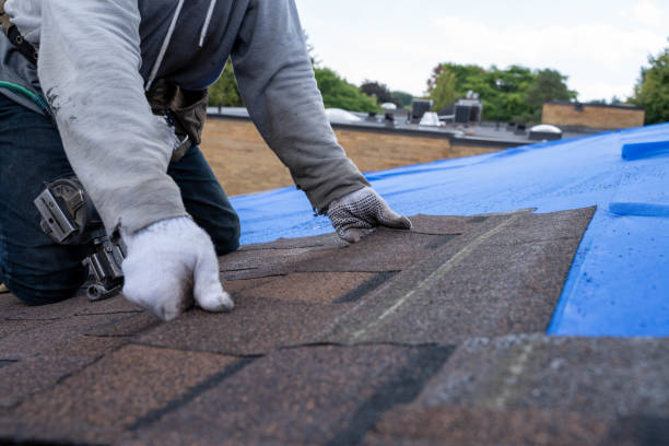 Best Storm Damage Roof Repair  in Rockford, MN
